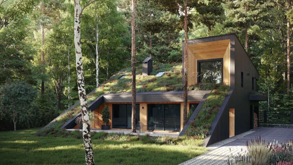 Passive Wooden Houses