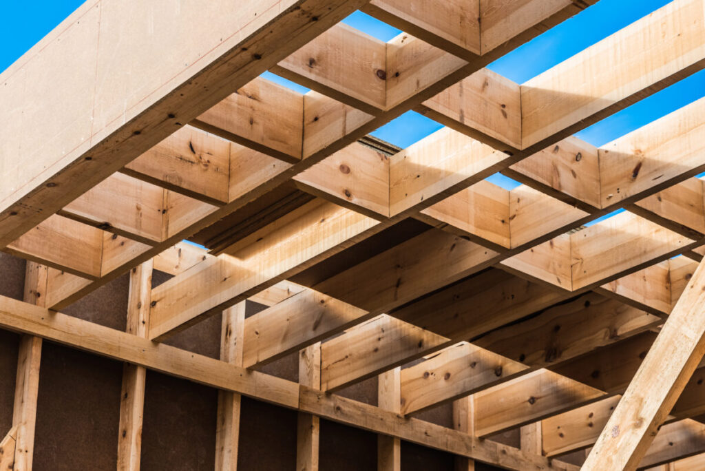 Best Types of Wood for Eco-Friendly